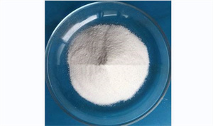 ����ϩ΢��Ϟ������